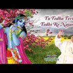तू टेढ़ा तेरी टेढ़ी रे नजरिया भजन लिरिक्स