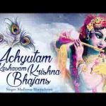 अच्चुतम केशवं कृष्ण दामोदरम हिंदी लिरिक्स