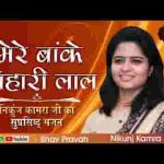 मेरे बांके बिहारी लाल तू इतना ना करियो श्रृंगार भजन लिरिक्स