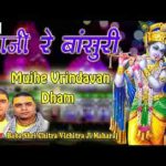 मुझे वृंदावन धाम बसा ले रसिया चित्र विचित्र जी भजन लिरिक्स