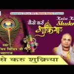 कैसे करूँ शुक्रिया चित्र विचित्र भजन लिरिक्स