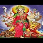 तू जो दया ज़रा सी करदे सर पे हाथ मेरे माँ धर दे भजन लिरिक्स