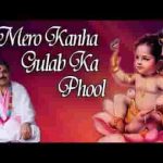 मेरो कान्हा गुलाब को फूल किशोरी मेरी कुसुम कली लिरिक्स