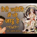 तेरी ज्योति में वो जादू है तक़दीर बना देती है भजन लिरिक्स