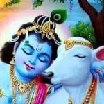 कन्हैया हमारा गुजारा ना होता अगर तुम ना होते भजन लिरिक्स