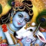 काली काली अलको के फंदे क्यूँ डाले श्री कृष्ण भजन लिरिक्स