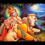 श्याम मिलेंगे वृंदावन की हर एक गलियों में भजन लिरिक्स