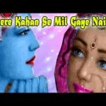 मेरे कान्हा के मिल गए नैन राधिका गौरी से भजन लिरिक्स