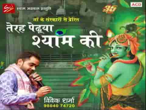 तेरह पेढिया ऊपर म्हारे श्याम को बंगलो भजन लिरिक्स