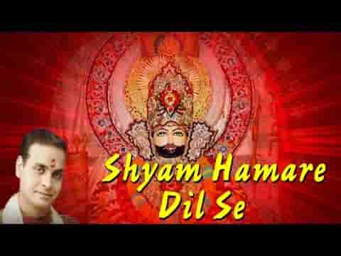 श्याम हमारे दिल से पूछो कितना तुमको याद किया भजन लिरिक्स