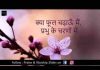 क्या फूल चढ़ाऊँ मैं प्रभु के चरणों में हिंदी लिरिक्स