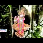 गली गली में मंदिर होगा ज्योत जले तेरे नाम की भजन लिरिक्स