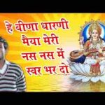 हे वीणा धारणी मैया मेरी नस नस में स्वर भर दो भजन लिरिक्स