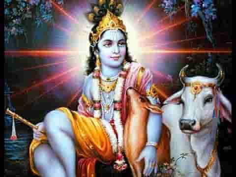 करम इतना बिहारी जी का मुझ पर एक बार हो जाये भजन लिरिक्स