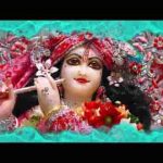 श्याम सलोना रूप है तेरा घुंघराले है बाल भजन लिरिक्स