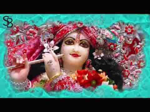श्याम सलोना रूप है तेरा घुंघराले है बाल भजन लिरिक्स