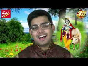 हमको कन्हैया एक तेरा ही आधार है भजन लिरिक्स
