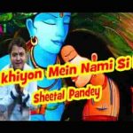 अँखियों में नमीं सी हो दिल बैठा हो हार के भजन लिरिक्स