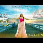 जिनको जिनको मिला सहारा उनको ये बतलाना है भजन लिरिक्स