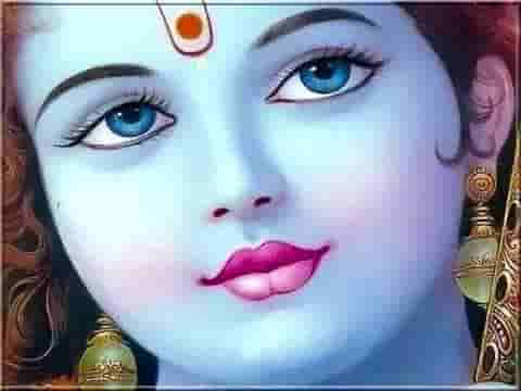 मेरे कान्हा में वो जादू है भजन लिरिक्स