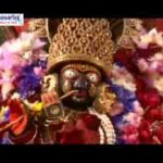 मेरे गिनियो ना अपराध लाड़ली श्री राधे भजन लिरिक्स