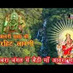 जबरा जंगल में बेठी आवरा माता भजन लिरिक्स