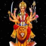 तेरे दर पे सेवक आ गया तेरी जय हो माँ जगदम्बे भजन लिरिक्स