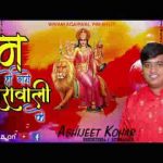 हम हो गए शेरावाली के भजन लिरिक्स