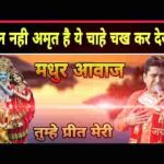तुम्हे प्रीत मेरी निभानी पड़ेगी श्याम भजन लिरिक्स