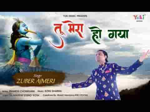 तू मेरा हो गया देखते देखते श्याम भजन लिरिक्स