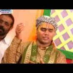 बिहारी तेरे नैना कजरारे चित्र विचित्र भजन लिरिक्स