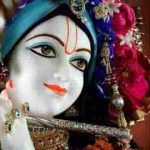 ये सुन्दर श्रृंगार सुहाना लगता है भजन लिरिक्स