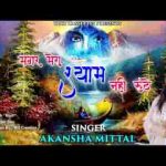 चाहे रूठे सब संसार मगर मेरा श्याम नही रूठे लिरिक्स