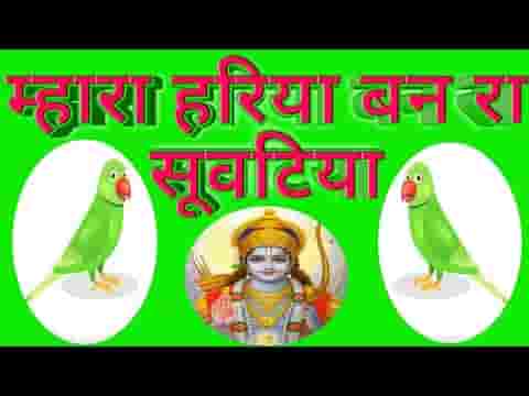 म्हारा हरिया बन रा सुवटिया तने राम मिले तो कहिजे रे लिरिक्स
