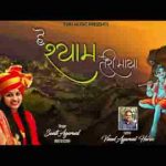 हे श्याम तेरी माया कोई जान नहीं पाए भजन लिरिक्स