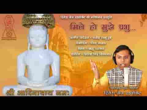 मिले हो मुझे प्रभु बड़े नसीबो से पार्श्वनाथ प्रभु भजन लिरिक्स