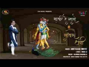 म्हाने जग की के दरकार साथी है म्हारो सांवरो धणी लिरिक्स