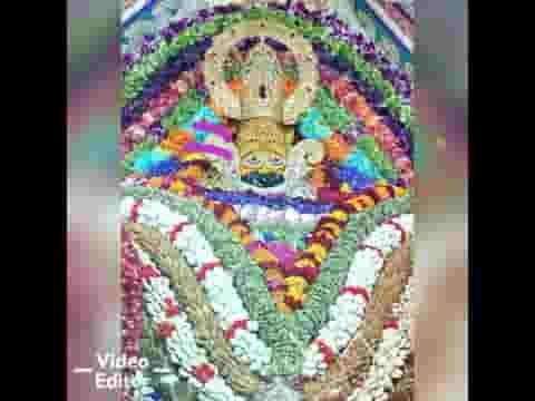 श्याम तेरे चरणों से दूर नहीं अब जाना भजन लिरिक्स