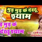 पाछा जाता सांवरा म्हारो जी दुख पावे रे भजन लिरिक्स