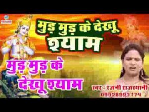 पाछा जाता सांवरा म्हारो जी दुख पावे रे भजन लिरिक्स