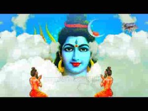 शिव शंकर तुम्हरी जटाओ से गंगा की धारा बहती है लिरिक्स