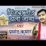 पिंजरा तोड़ चला जागा भाई दुनिया खड़ी लखावे भजन लिरिक्स