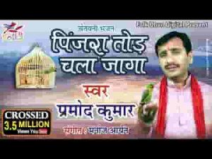 पिंजरा तोड़ चला जागा भाई दुनिया खड़ी लखावे भजन लिरिक्स