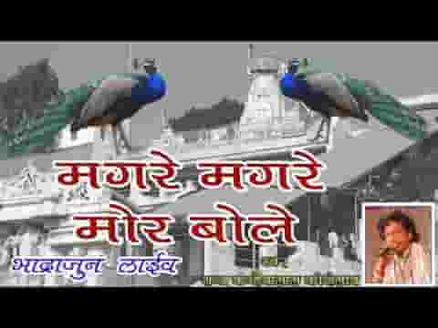 मगरे मगरे मोर बोले धोरां मे बोले ढेल जानो मेला में