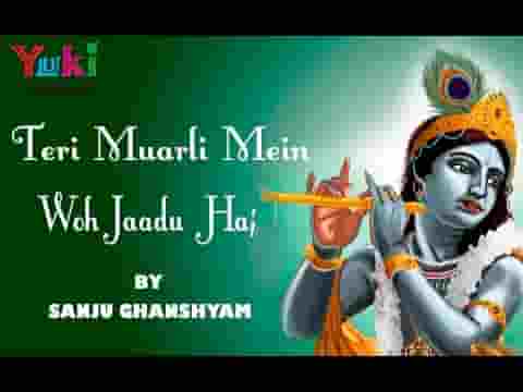 तेरी मुरली में वो जादू है बिन डोर खिंचा आता हूँ भजन लिरिक्स