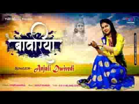 थामो हाथ आके मेरे सांवरिया भजन लिरिक्स