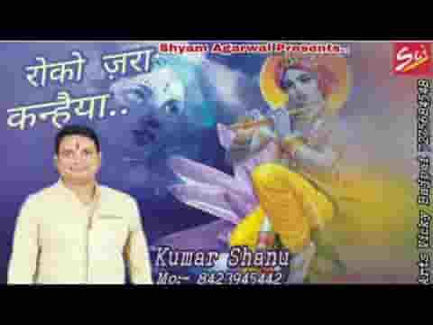 रोको ज़रा कन्हैया मेरी जान जा रही है भजन लिरिक्स