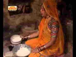 भादरवा में भैस बियोनी टाबरीयो ने टुंगे मारे
