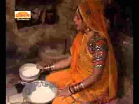 भादरवा में भैस बियोनी टाबरीयो ने टुंगे मारे