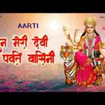 सुन मेरी देवी पर्वत वासिनी तेरा मैंने पार ना पाया आरती लिरिक्स